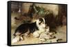 Motherless: the Shepherd's Pet, 1897-Walter Hunt-Framed Stretched Canvas