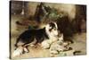 Motherless: the Shepherd's Pet, 1897-Walter Hunt-Stretched Canvas