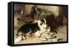Motherless: the Shepherd's Pet, 1897-Walter Hunt-Framed Stretched Canvas