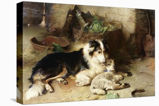 Motherless: the Shepherd's Pet, 1897-Walter Hunt-Stretched Canvas