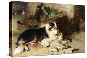 Motherless: the Shepherd's Pet, 1897-Walter Hunt-Stretched Canvas