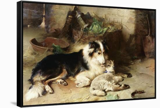 Motherless: the Shepherd's Pet, 1897-Walter Hunt-Framed Stretched Canvas