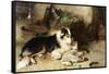 Motherless: the Shepherd's Pet, 1897-Walter Hunt-Framed Stretched Canvas