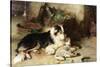 Motherless: the Shepherd's Pet, 1897-Walter Hunt-Stretched Canvas