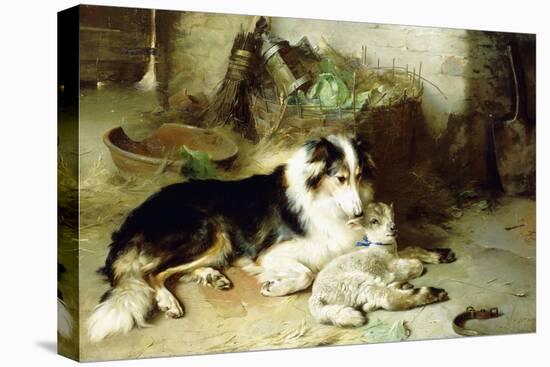 Motherless-The Shepherd's Pet, 1897-Walter Hunt-Stretched Canvas