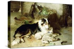 Motherless-The Shepherd's Pet, 1897-Walter Hunt-Stretched Canvas