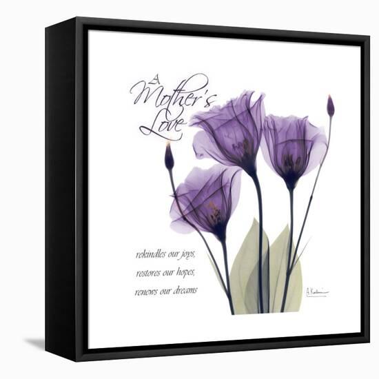 Mothers Love Gentian-Albert Koetsier-Framed Stretched Canvas