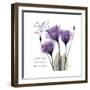 Mothers Love Gentian-Albert Koetsier-Framed Premium Giclee Print