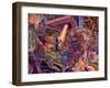 Mothership-Josh Byer-Framed Giclee Print