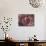 Mothership-Josh Byer-Mounted Giclee Print displayed on a wall