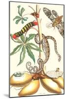 Moths and a Tree Boa-Maria Sibylla Merian-Mounted Art Print