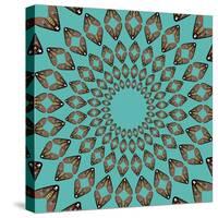 Moths Pachanga, Brown Moth-Belen Mena-Stretched Canvas