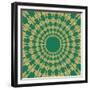 Moths Pachanga, Green Moth-Belen Mena-Framed Giclee Print