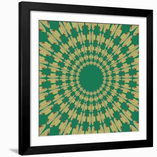 Moths Pachanga, Green Moth-Belen Mena-Framed Giclee Print