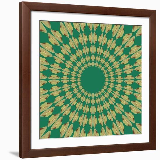 Moths Pachanga, Green Moth-Belen Mena-Framed Giclee Print