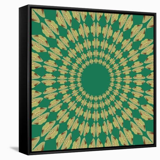 Moths Pachanga, Green Moth-Belen Mena-Framed Stretched Canvas