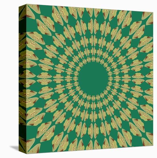 Moths Pachanga, Green Moth-Belen Mena-Stretched Canvas