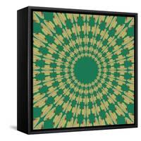 Moths Pachanga, Green Moth-Belen Mena-Framed Stretched Canvas