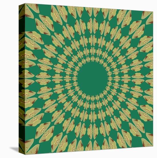 Moths Pachanga, Green Moth-Belen Mena-Stretched Canvas