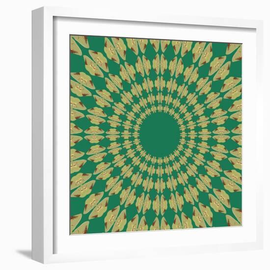 Moths Pachanga, Green Moth-Belen Mena-Framed Giclee Print