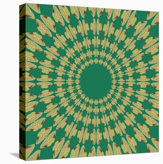 Moths Pachanga, Green Moth-Belen Mena-Stretched Canvas