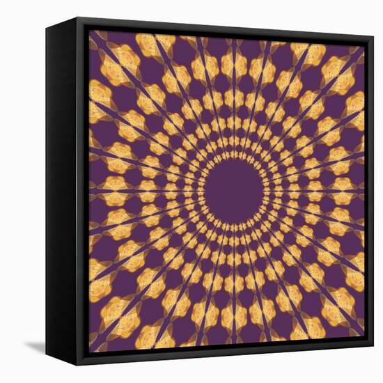 Moths Pachanga, Yellow Moth-Belen Mena-Framed Stretched Canvas