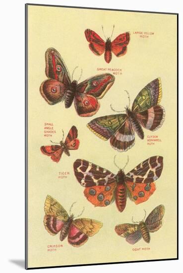 Moths-null-Mounted Art Print