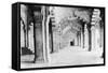 Moti Masjid, Agra, 1917-null-Framed Stretched Canvas