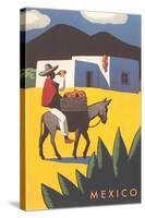 Motifs of Mexico, Burro, Peon, Adobe-null-Stretched Canvas