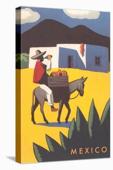 Motifs of Mexico, Burro, Peon, Adobe-null-Stretched Canvas