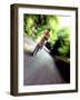 Motion Blurred Image of a Female Cyclist-null-Framed Photographic Print