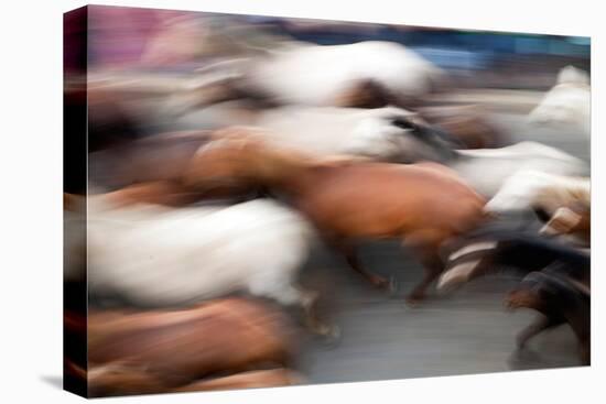 Motion Blurred Image of the -Saca De Las Yeguas- Festival-Felipe Rodriguez-Stretched Canvas