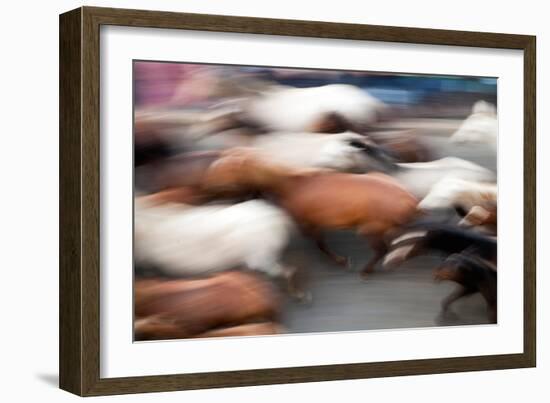 Motion Blurred Image of the -Saca De Las Yeguas- Festival-Felipe Rodriguez-Framed Photographic Print