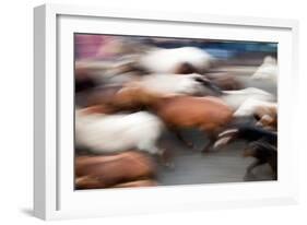 Motion Blurred Image of the -Saca De Las Yeguas- Festival-Felipe Rodriguez-Framed Photographic Print