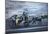 Motion horse 1-Moises Levy-Mounted Giclee Print