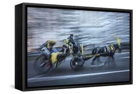 Motion horse 1-Moises Levy-Framed Stretched Canvas