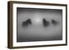 Motionlessness-Adrian Campfield-Framed Photographic Print