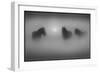 Motionlessness-Adrian Campfield-Framed Photographic Print