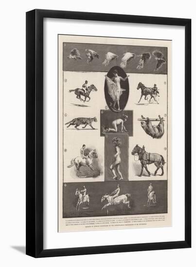 Motions of Animals Illustrated by the Instantaneous Photographs of Mr Muybridge-Walter Wilson-Framed Giclee Print