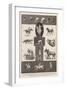 Motions of Animals Illustrated by the Instantaneous Photographs of Mr Muybridge-Walter Wilson-Framed Giclee Print