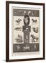 Motions of Animals Illustrated by the Instantaneous Photographs of Mr Muybridge-Walter Wilson-Framed Giclee Print