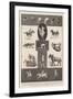 Motions of Animals Illustrated by the Instantaneous Photographs of Mr Muybridge-Walter Wilson-Framed Giclee Print