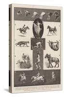 Motions of Animals Illustrated by the Instantaneous Photographs of Mr Muybridge-Walter Wilson-Stretched Canvas