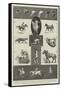 Motions of Animals Illustrated by the Instantaneous Photographs of Mr Muybridge-Thomas Walter Wilson-Framed Stretched Canvas