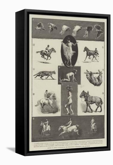 Motions of Animals Illustrated by the Instantaneous Photographs of Mr Muybridge-Thomas Walter Wilson-Framed Stretched Canvas