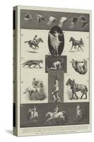 Motions of Animals Illustrated by the Instantaneous Photographs of Mr Muybridge-Thomas Walter Wilson-Stretched Canvas