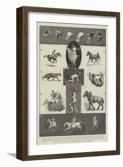 Motions of Animals Illustrated by the Instantaneous Photographs of Mr Muybridge-Thomas Walter Wilson-Framed Giclee Print