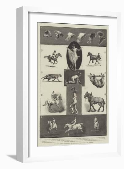 Motions of Animals Illustrated by the Instantaneous Photographs of Mr Muybridge-Thomas Walter Wilson-Framed Giclee Print