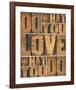 Motivational: Do What You Love-null-Framed Art Print