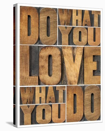 Motivational: Do What You Love-null-Stretched Canvas